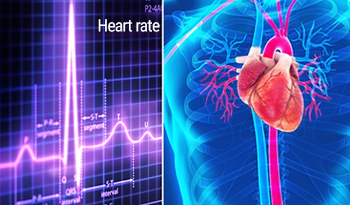 Heart beat in nepali